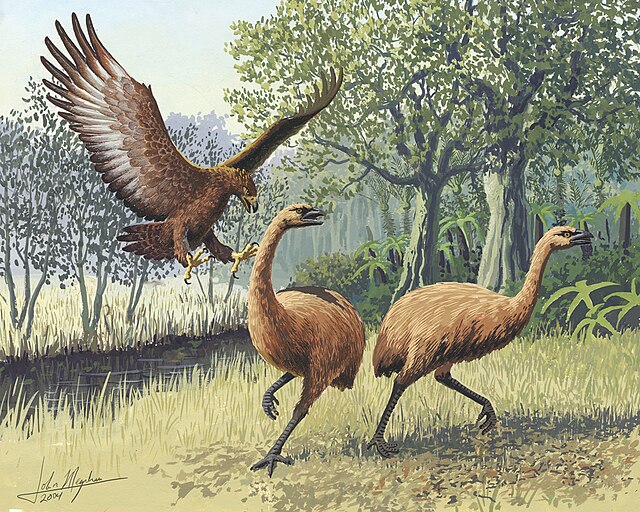 The Harpagornis attacking a moa